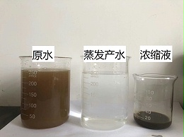 今日挂牌之全篇