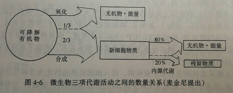 微生物代谢活动数量图