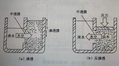 渗透与反渗透对比